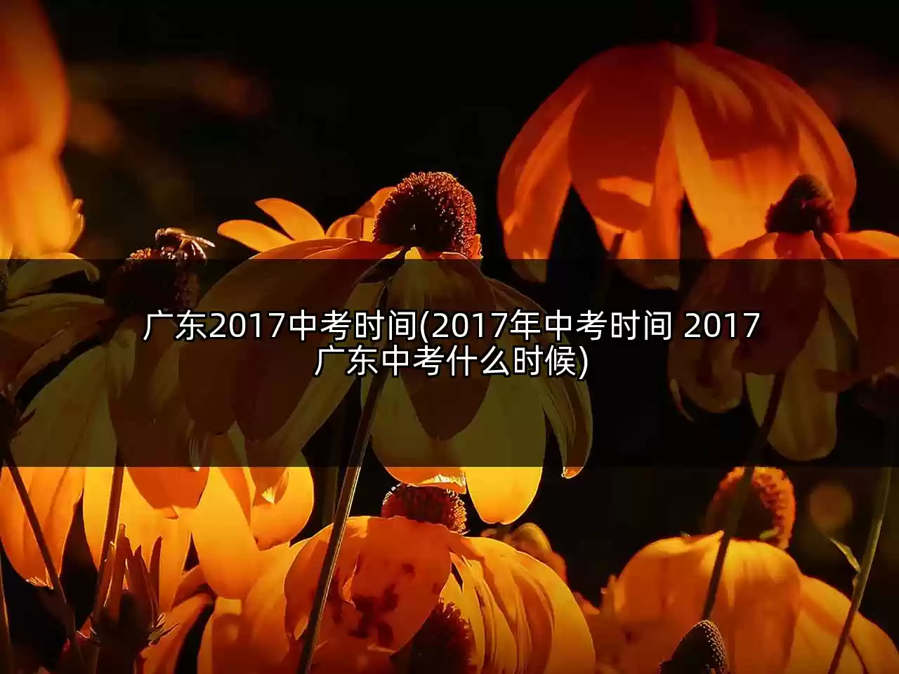 广东2017中考时间(2017年中考时间 2017广东中考什么时候)
