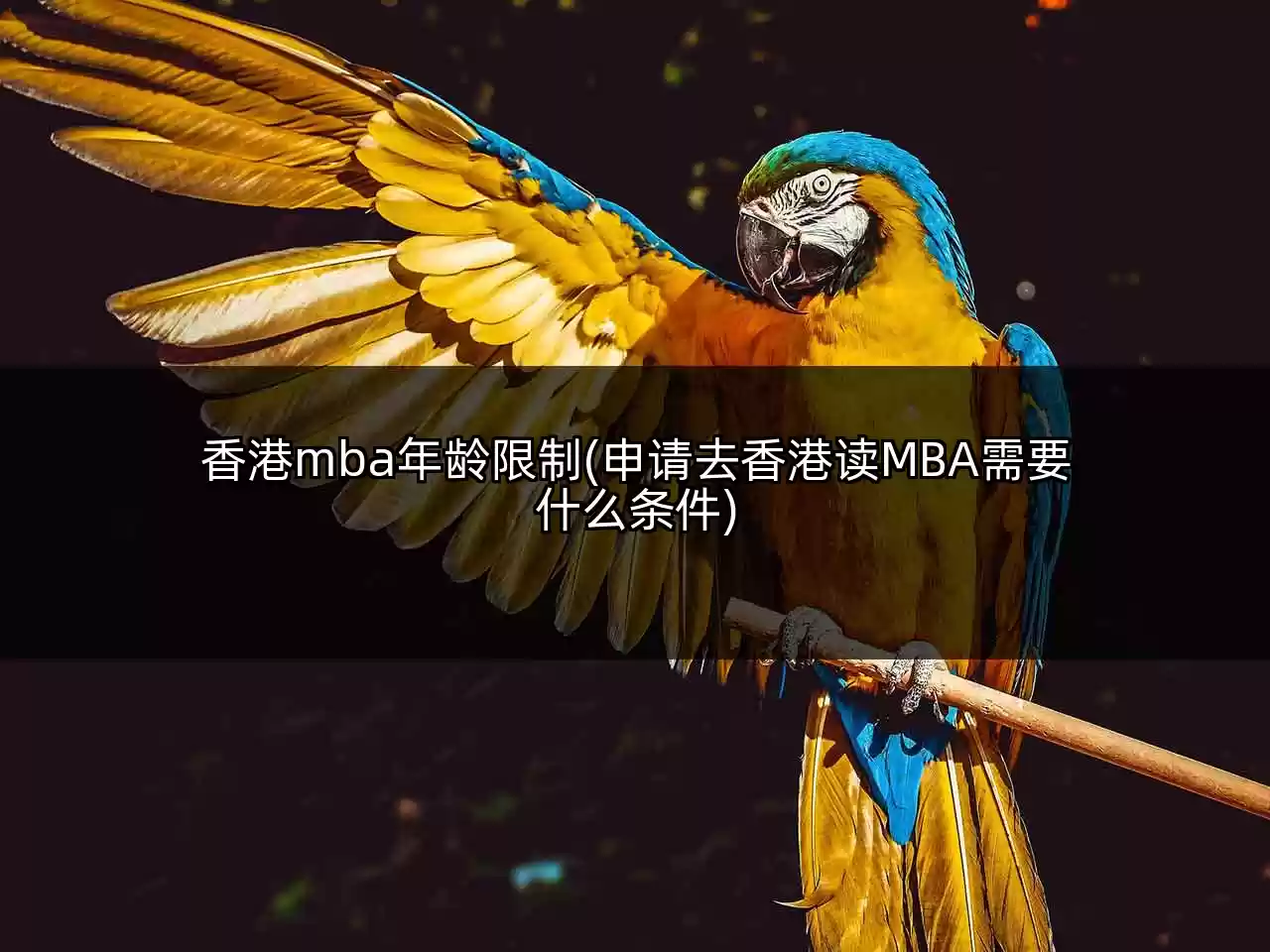 香港mba年龄限制(申请去香港读MBA需要什么条件)
