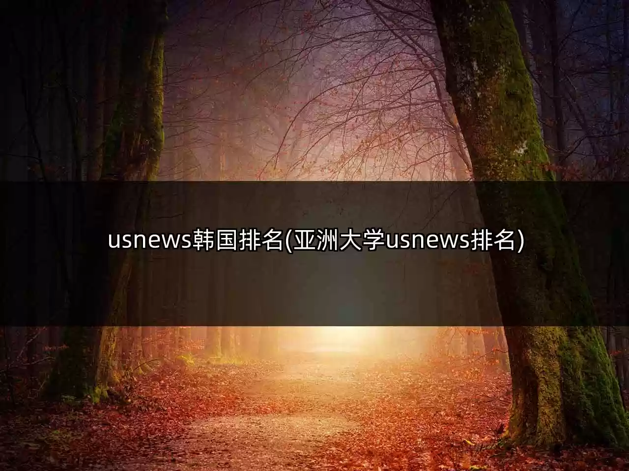 usnews韩国排名(亚洲大学usnews排名)