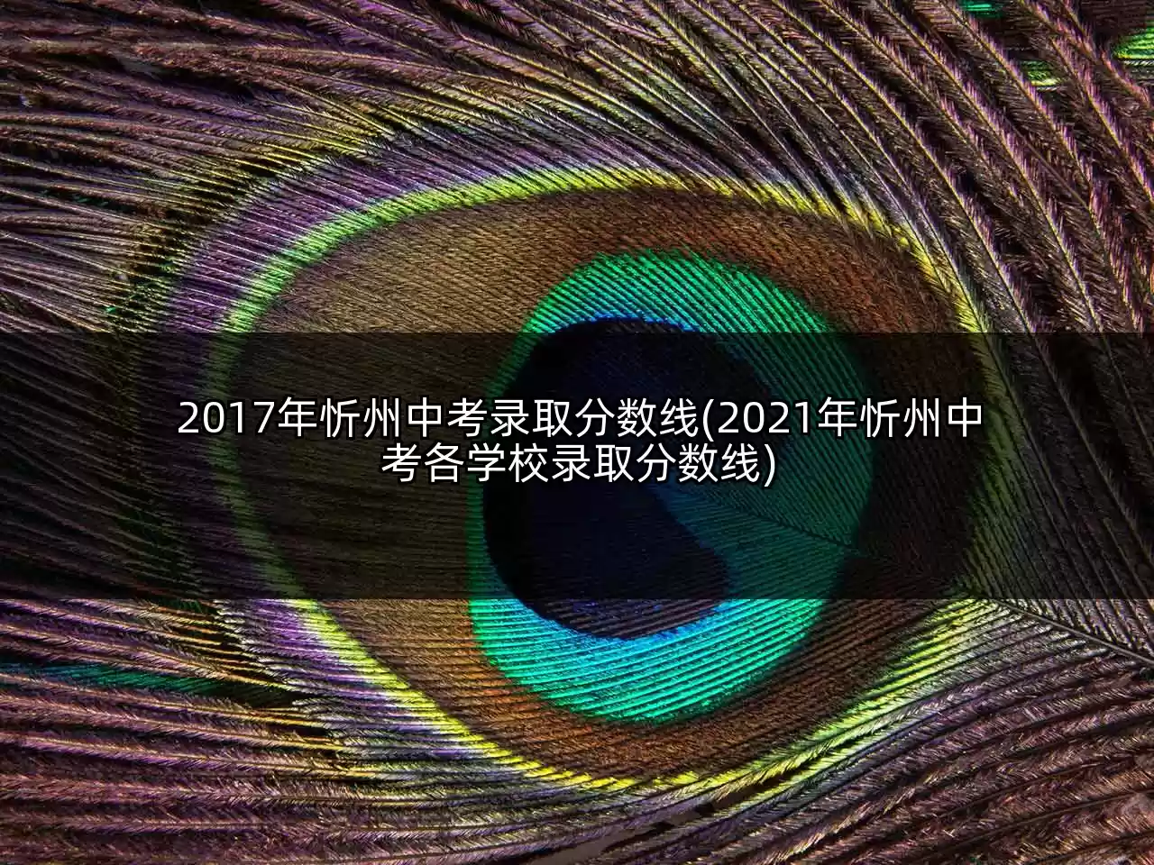 2017年忻州中考录取分数线(2021年忻州中考各学校录取分数线)